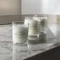 70g Small Cinnamon & Vanilla & Plum White Wax Clear Votive Candle